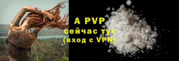PSILOCYBIN Медногорск