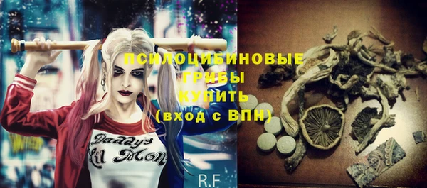 дмт Мегион