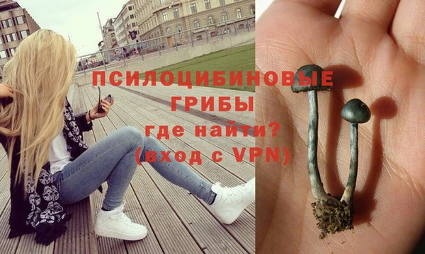 хмурый Заволжье