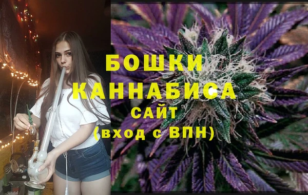 дмт Мегион